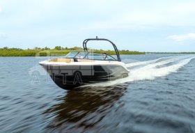 BAYLINER V20 Bowrider + MERCURY F 115 EFI EXLPT ProXS