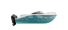 BAYLINER C21 Cuddy + MERCURY F 150 EFI EXLPT ProXS
