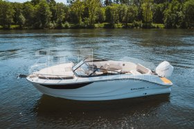 BAYLINER C21 Cuddy + MERCURY F 225 V6 EFI EXLPT DTS
