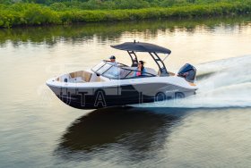 BAYLINER V20 Bowrider + MERCURY F 225 V6 EFI EXLPT DTS