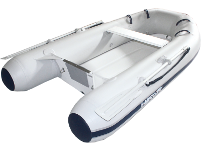 MERCURY DYNAMIC RIB