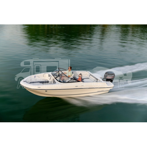 BAYLINER VR-4 Open + MERCURY F 100 EFI EXLPT 2