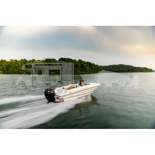 BAYLINER VR-4 Open + MERCURY F 100 EFI EXLPT 6