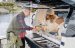 navan-c30-2x-mercury-f-300-v8-efi-exlpt-dts-verado-joystick-15572.jpg