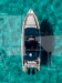 navan-s30-mercury-f-300-v8-efi-exxlpt-dts-verado-15462.png