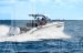 navan-s30-mercury-f-300-v8-efi-exxlpt-dts-verado-15487-15487.jpg